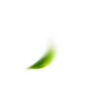 Single leef 2
