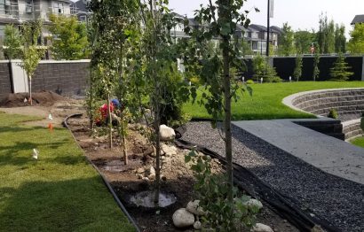 tree planting 2